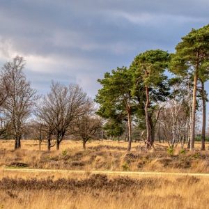 Foto Inspiratie Cursus 2020