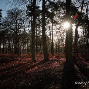 Landgoed Beukenburg