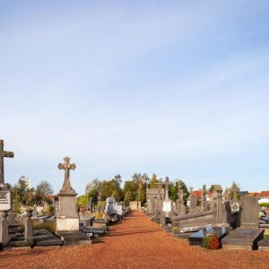 Marijke Vandeputte Thema begraafplaatsen