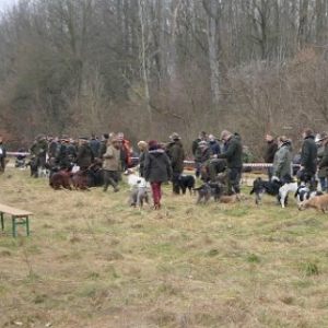 Jagdgebrauchshundevorstellung_2025