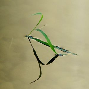 September Reflections