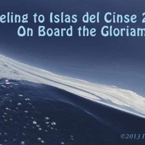 Islas del Cisne Diving