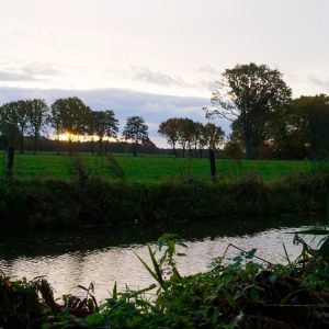 Loondermolenpad 11-11-18