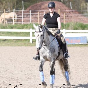 asterix_elegante_03_2014