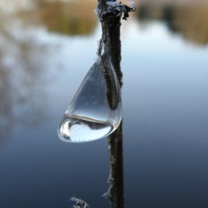 Frostbiten sista dag i Januari.