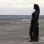 HORSEBACKFISHERMEN 565 - Belgium