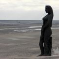HORSEBACKFISHERMEN 565 - Belgium
