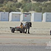 HORSEBACKFISHERMEN 574 - Belgium