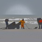 HORSEBACKFISHERMEN 410 - Belgium