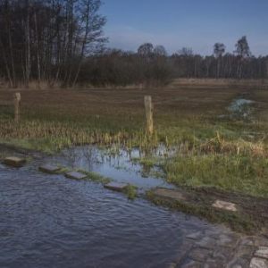 De reis van het water