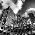 Black and white Fine ART