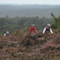 Holterberg Herfsveldrit 2013