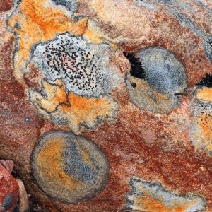 Dalarna's nature in May 2022