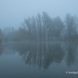 Mist