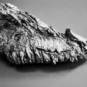 Archäologische Funde in Angermund