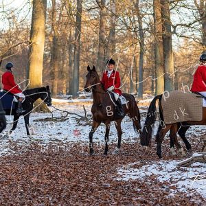 Vinterjagten 10.01.2026