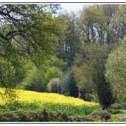 Blooming Easter - Pâques fleuries
