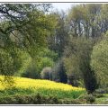 Blooming Easter - Pâques fleuries