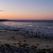 Terschelling