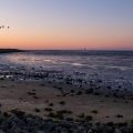 Terschelling