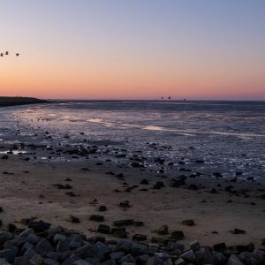 Terschelling