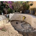 La piscine à fleurs des DoudouX 
