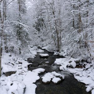 Blueberry Mtn (Warren NH)
