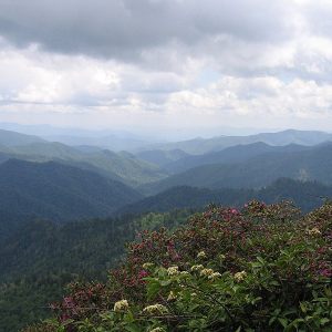 Great Smoky Mountains National Park  2008