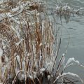 The first snow.