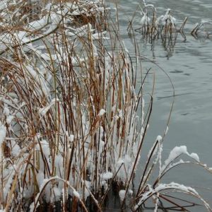 The first snow.
