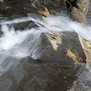 Beaver Brook