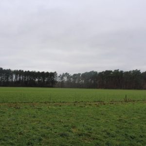 Averbode 26-1-2025