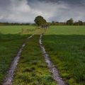 De Jufferen in Drenthe