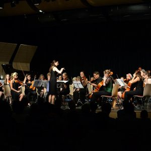 Orchesterkonzert 2017