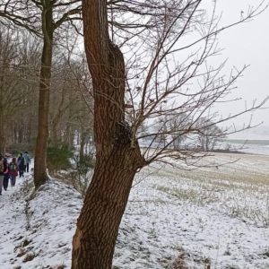 3.1.2026  Wanderung rund um den Hahnenberg