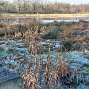 18.1.2026 Von de. Hamert NL. nach Walbeck