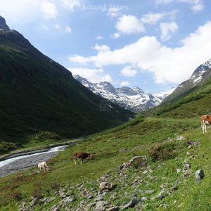 Von der Silvretta ins Montafon