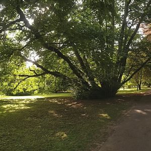 Botanischer Garten, Stuttgart-Hohenheim 