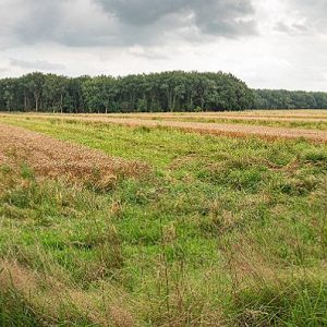 Land van Ons, perceeldag 2021, Holtesch Hooghalen