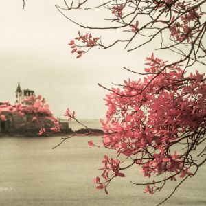 infrarouge - couleur