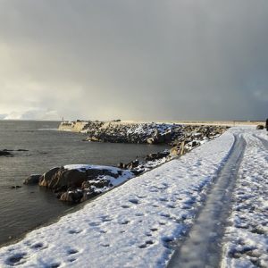Lofoten Noorwegen, februari 2016 (www.byzonderereizen.no)